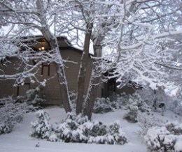 Scenic winter view of the dental office building covered in a fresh layer of white snow