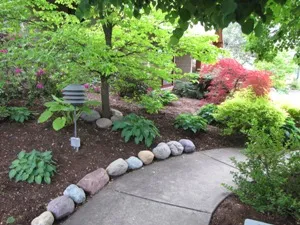 foliage and pedestrian walkway around {PRACTICE_NAME}