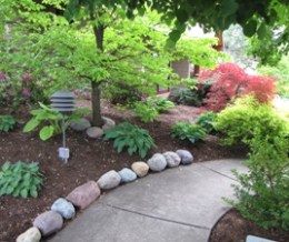 Lush garden path with a curved stone border, surrounded by green shrubs and small trees