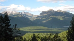 Scenic Image of trees and mountains