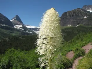 Scenic Image